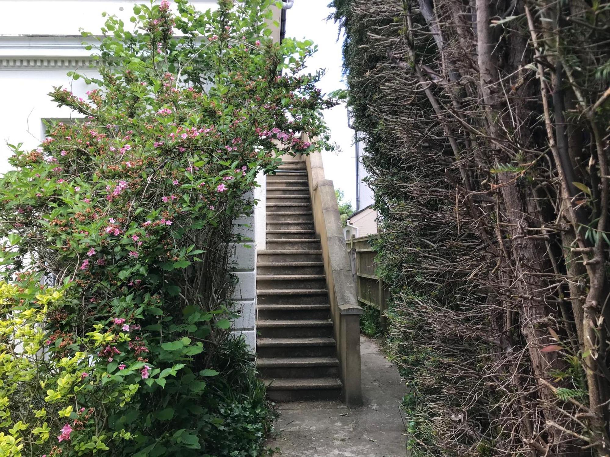 Tree Tops Apartment In Tunbridge Wells エクステリア 写真