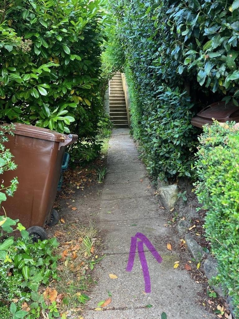 Tree Tops Apartment In Tunbridge Wells エクステリア 写真